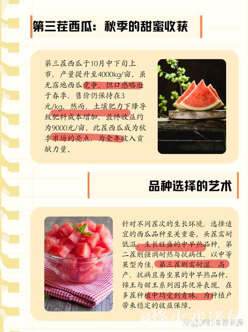 “51今日吃瓜必吃，瓜田热搜追不停”